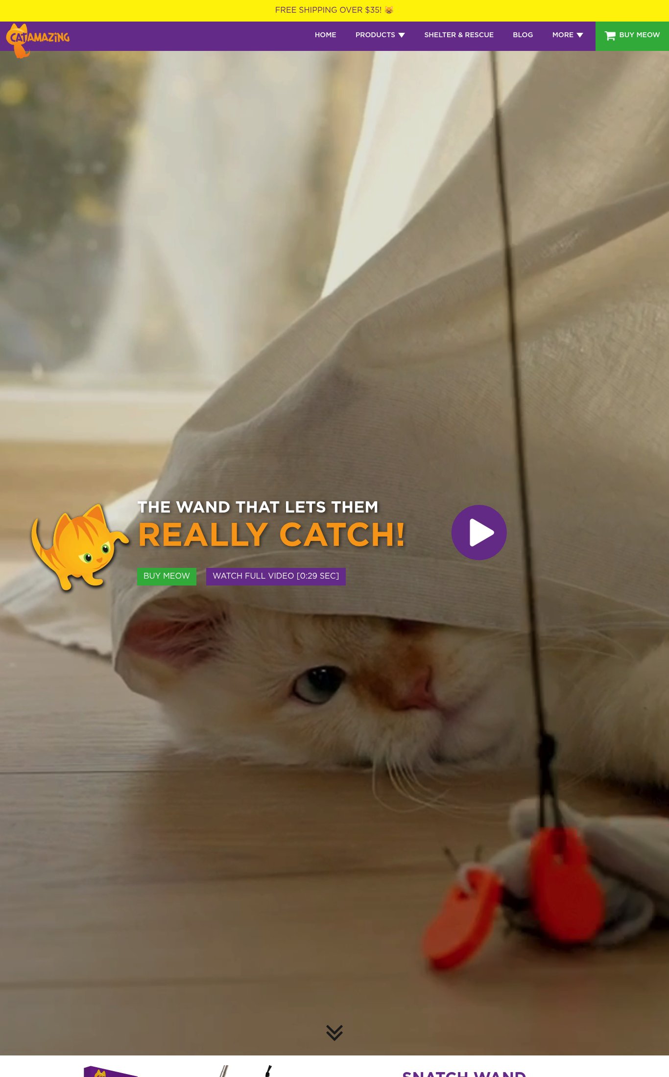 Cat Amazing page